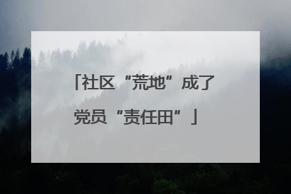 社区“荒地”成了党员“责任田”