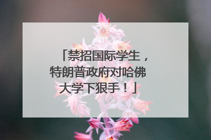 禁招国际学生，特朗普政府对哈佛大学下狠手！