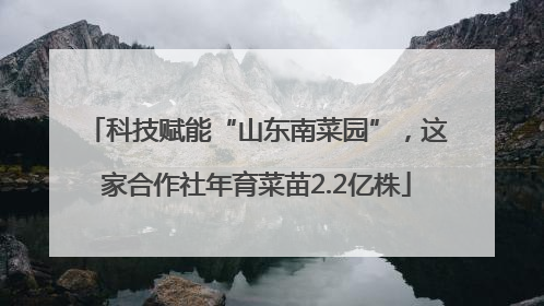 科技赋能“山东南菜园”，这家合作社年育菜苗2.2亿株