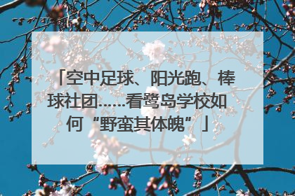 空中足球、阳光跑、棒球社团……看鹭岛学校如何“野蛮其体魄”
