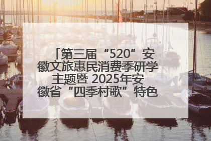 第三届“520”安徽文旅惠民消费季研学主题暨 2025年安徽省“四季村歌”特色展演燃动池州