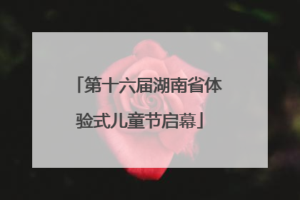 第十六届湖南省体验式儿童节启幕