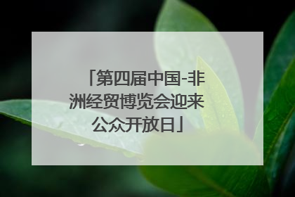 第四届中国-非洲经贸博览会迎来公众开放日