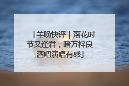羊晚快评｜落花时节又逢君，睹万梓良酒吧演唱有感