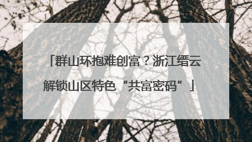 群山环抱难创富？浙江缙云解锁山区特色“共富密码”