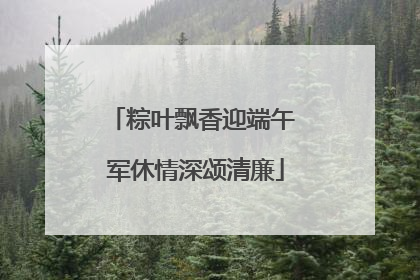 粽叶飘香迎端午 军休情深颂清廉