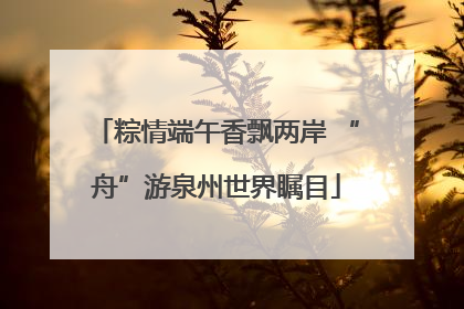 粽情端午香飘两岸 “舟”游泉州世界瞩目