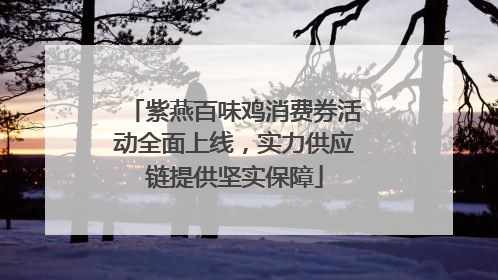 紫燕百味鸡消费券活动全面上线，实力供应链提供坚实保障