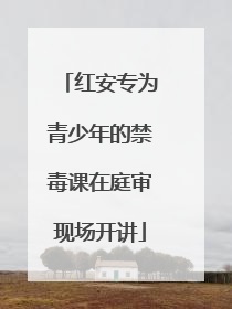 红安专为青少年的禁毒课在庭审现场开讲