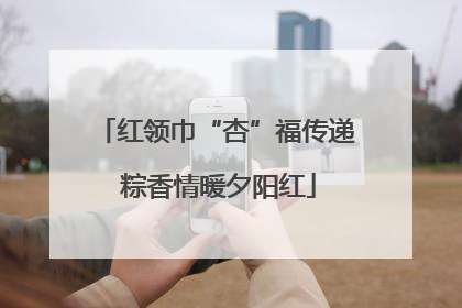 红领巾“杏”福传递 粽香情暖夕阳红