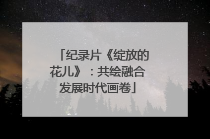 纪录片《绽放的花儿》：共绘融合发展时代画卷