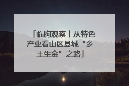 临朐观察丨从特色产业看山区县城“乡土生金”之路