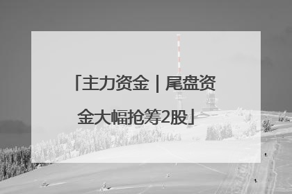 主力资金｜尾盘资金大幅抢筹2股