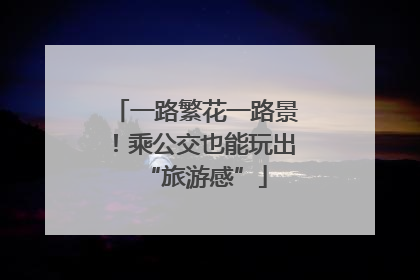 一路繁花一路景！乘公交也能玩出“旅游感”