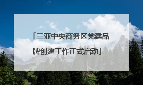 三亚中央商务区党建品牌创建工作正式启动