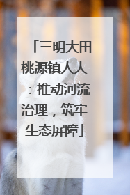三明大田桃源镇人大：推动河流治理，筑牢生态屏障