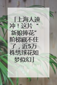上海人速冲！这片“新娘捧花”阶梯藏不住了，近5万株绣球花如梦似幻