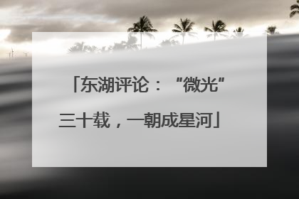 东湖评论：“微光”三十载，一朝成星河