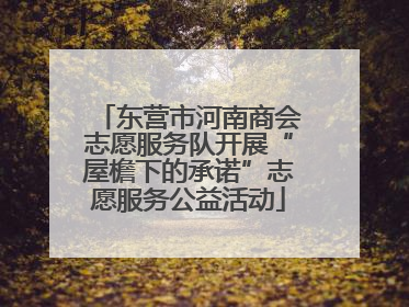 东营市河南商会志愿服务队开展“屋檐下的承诺”志愿服务公益活动