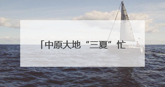 中原大地“三夏”忙丨机收运输畅行无阻 金粒归仓保障有力