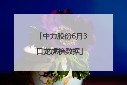 中力股份6月3日龙虎榜数据