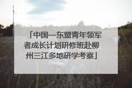 中国—东盟青年领军者成长计划研修班赴柳州三江多地研学考察