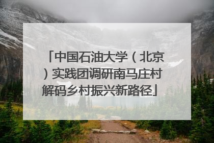 中国石油大学（北京）实践团调研南马庄村解码乡村振兴新路径