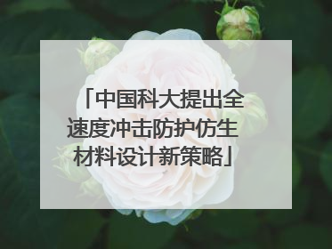中国科大提出全速度冲击防护仿生材料设计新策略