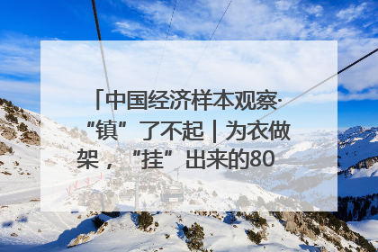 中国经济样本观察·“镇”了不起｜为衣做架，“挂”出来的80亿元“衣架产业”