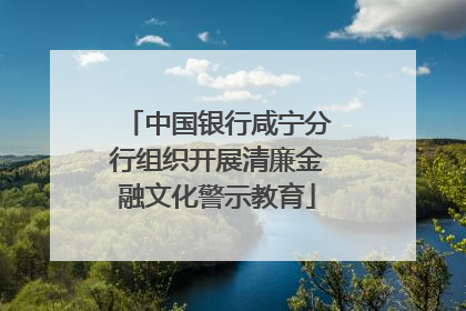 中国银行咸宁分行组织开展清廉金融文化警示教育