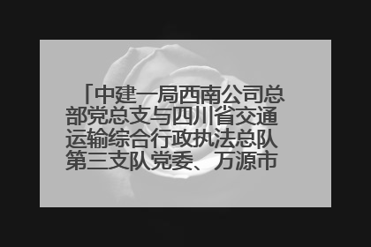 中建一局西南公司总部党总支与四川省交通运输综合行政执法总队第三支队党委、万源市草坝镇莲花院村党支部开展党建联建