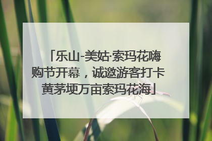 乐山-美姑·索玛花嗨购节开幕，诚邀游客打卡黄茅埂万亩索玛花海