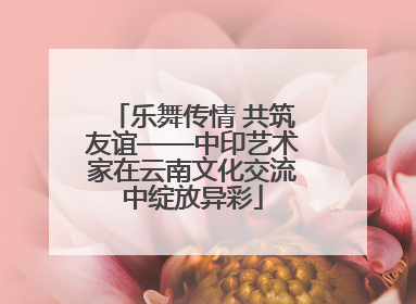 乐舞传情 共筑友谊——中印艺术家在云南文化交流中绽放异彩