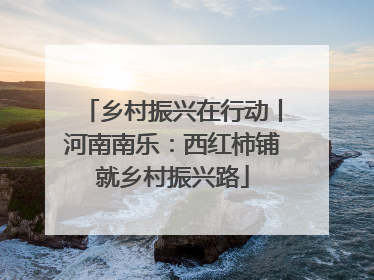 乡村振兴在行动丨河南南乐：西红柿铺就乡村振兴路