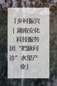 乡村振兴｜湖南安化：科技服务团“把脉问诊”水果产业