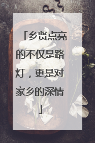乡贤点亮的不仅是路灯，更是对家乡的深情