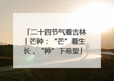 二十四节气看吉林丨芒种：“芒”着生长，“种”下希望