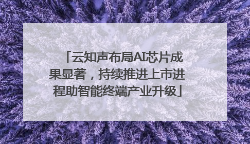 云知声布局AI芯片成果显著，持续推进上市进程助智能终端产业升级