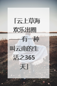 云上草海 欢乐出圈——有一种叫云南的生活之365天