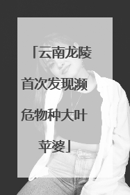 云南龙陵首次发现濒危物种大叶苹婆