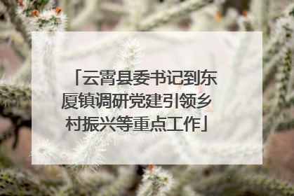 云霄县委书记到东厦镇调研党建引领乡村振兴等重点工作