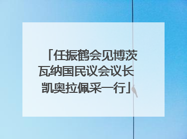 任振鹤会见博茨瓦纳国民议会议长凯奥拉佩采一行