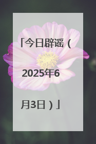 今日辟谣（2025年6月3日）