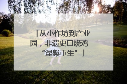 从小作坊到产业园，非遗史口烧鸡“涅槃重生”