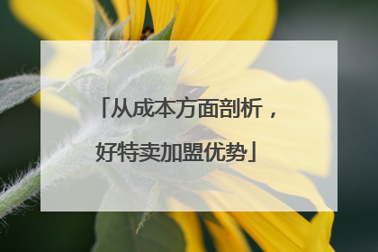 从成本方面剖析，好特卖加盟优势