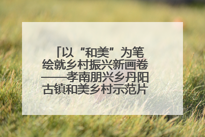 以“和美”为笔 绘就乡村振兴新画卷——孝南朋兴乡丹阳古镇和美乡村示范片区建设综述