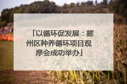 以循环促发展：耀州区种养循环项目观摩会成功举办