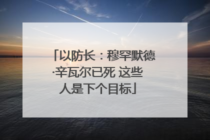 以防长：穆罕默德·辛瓦尔已死 这些人是下个目标