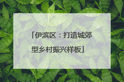 伊滨区：打造城郊型乡村振兴样板