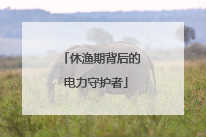休渔期背后的电力守护者